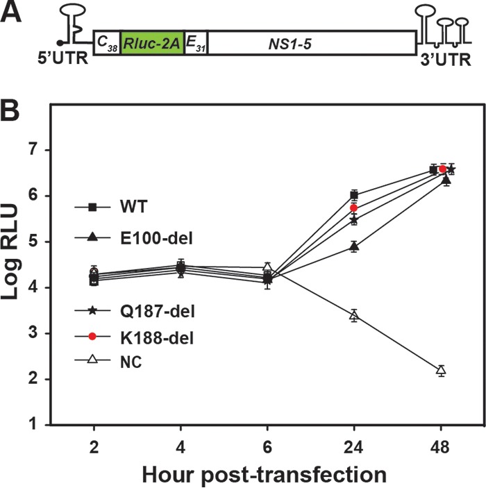 FIG 2