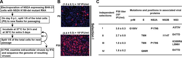 FIG 4