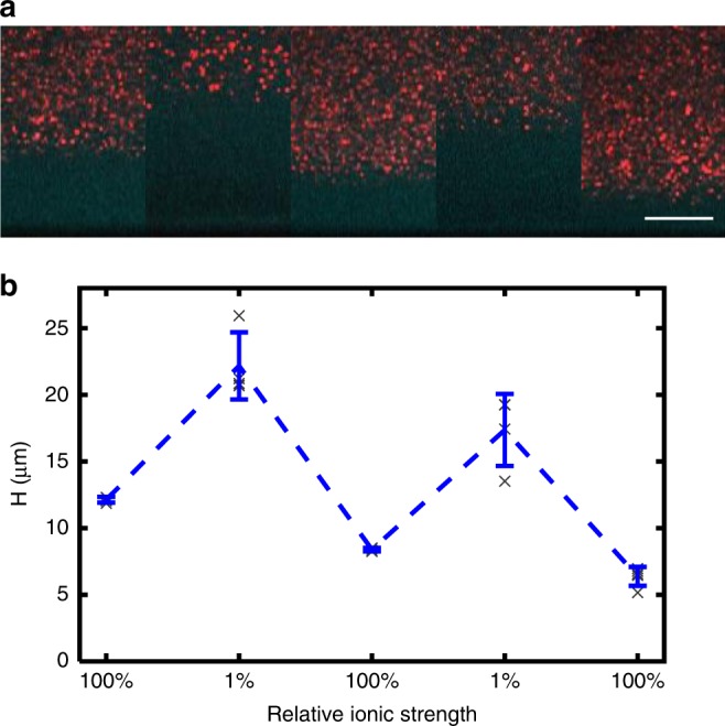 Fig. 3