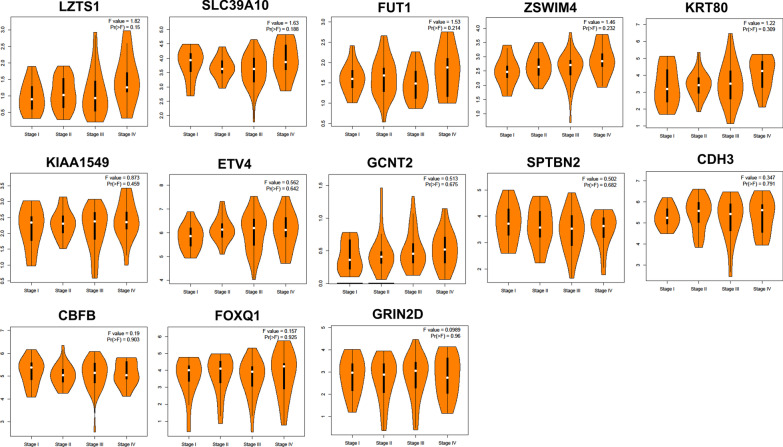 Fig. 11