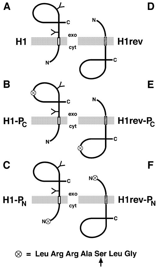 graphic file with name cdd668f1.jpg