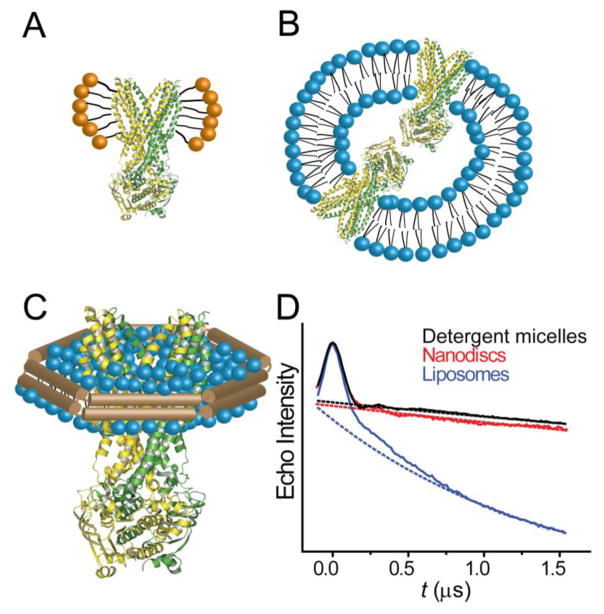 Figure 11