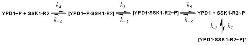 Scheme 2