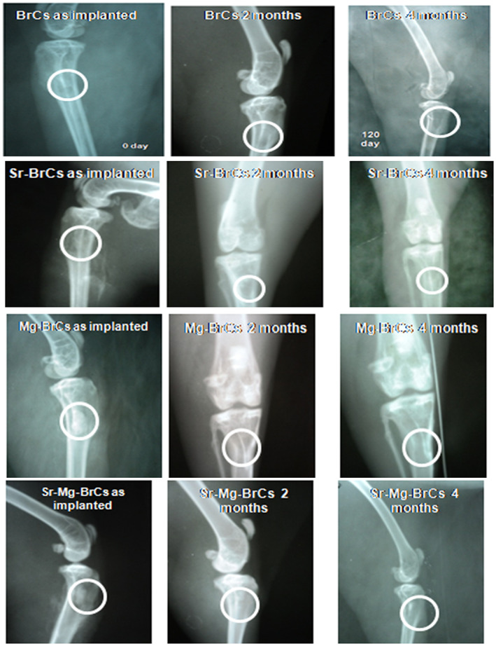 FIGURE 3