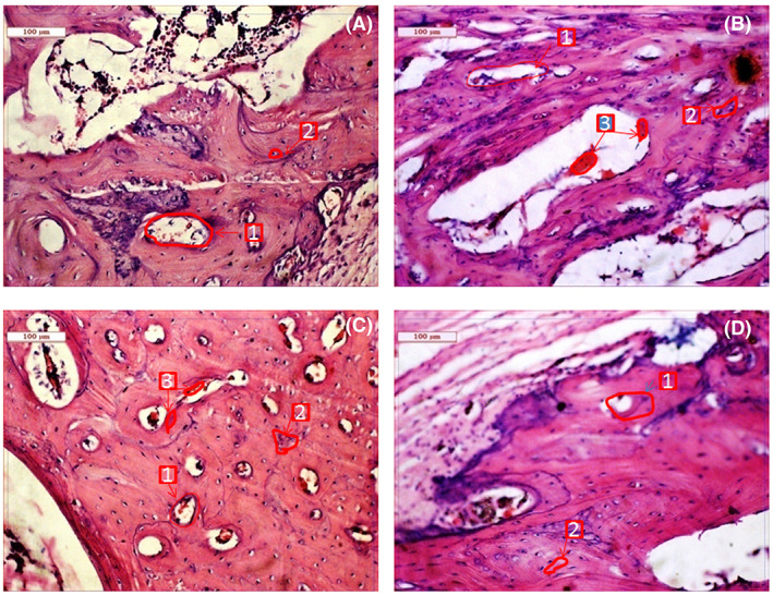 FIGURE 4