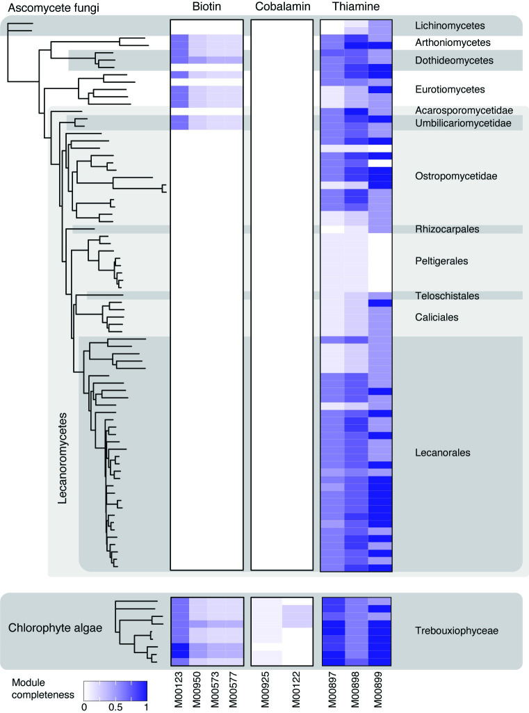 Fig 6