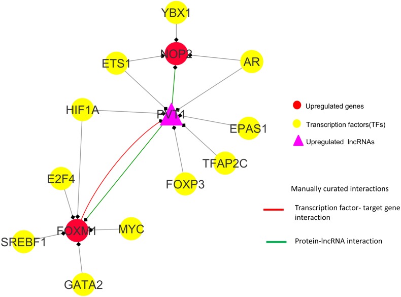 Figure 10