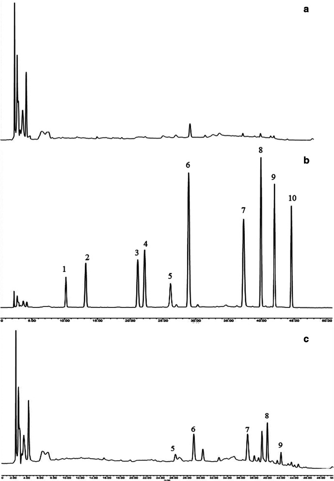 Fig. 10