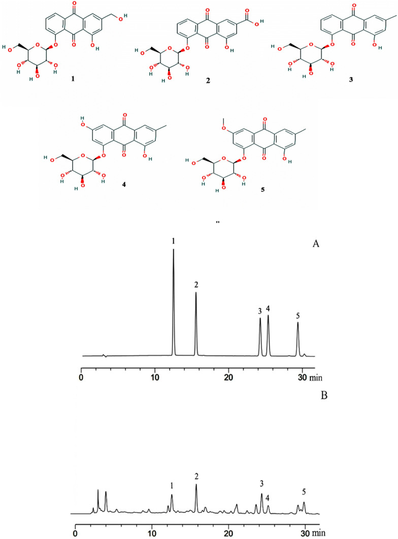 Fig. 1