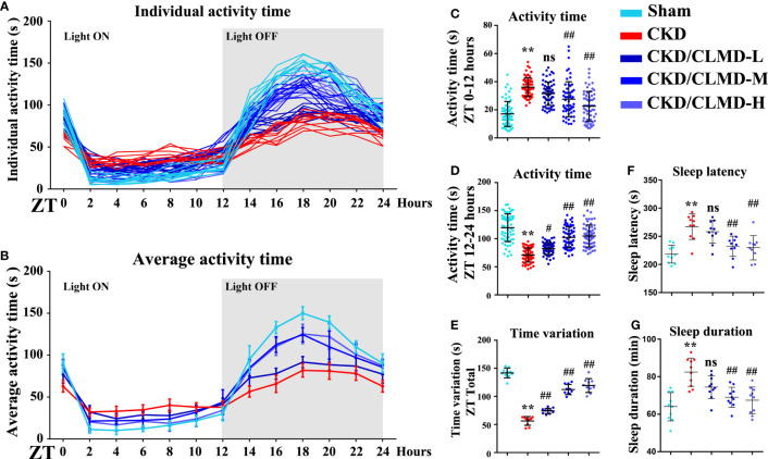 Figure 2