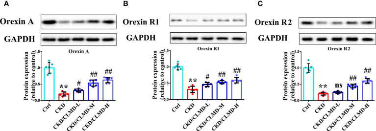 Figure 5