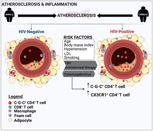 graphic file with name nihms-1672222-f0007.jpg