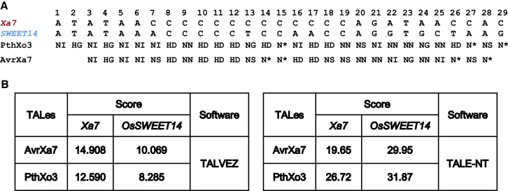 Figure 4