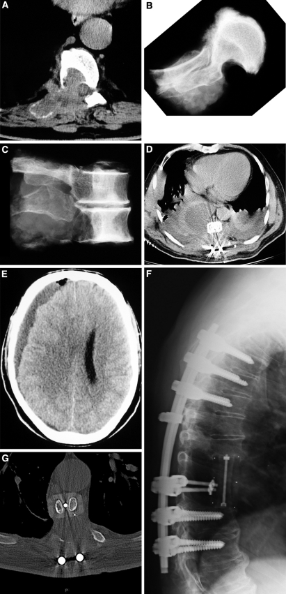 Fig. 3