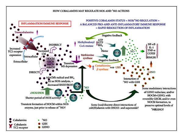 Figure 10