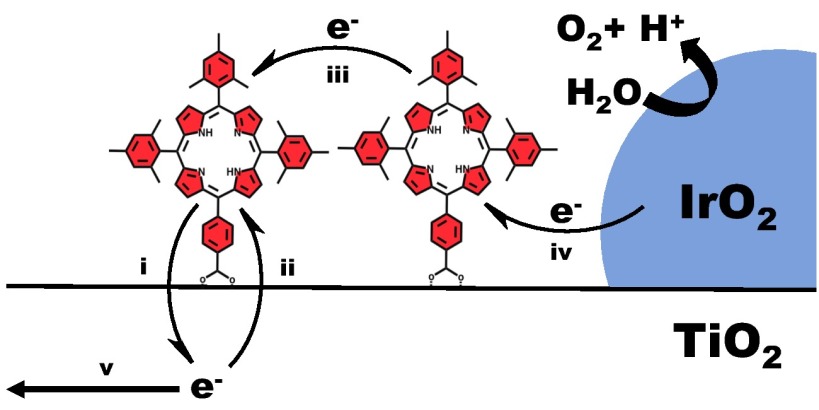 Fig. 4.