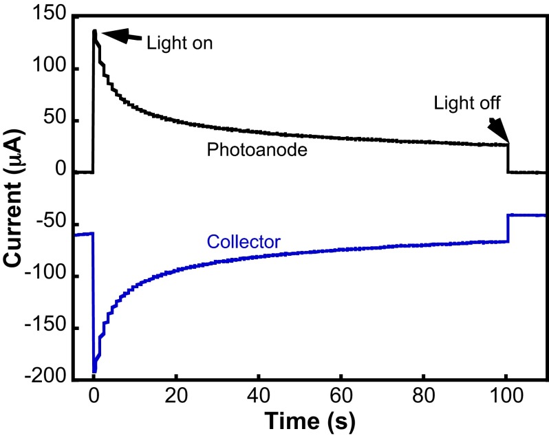 Fig. 2.