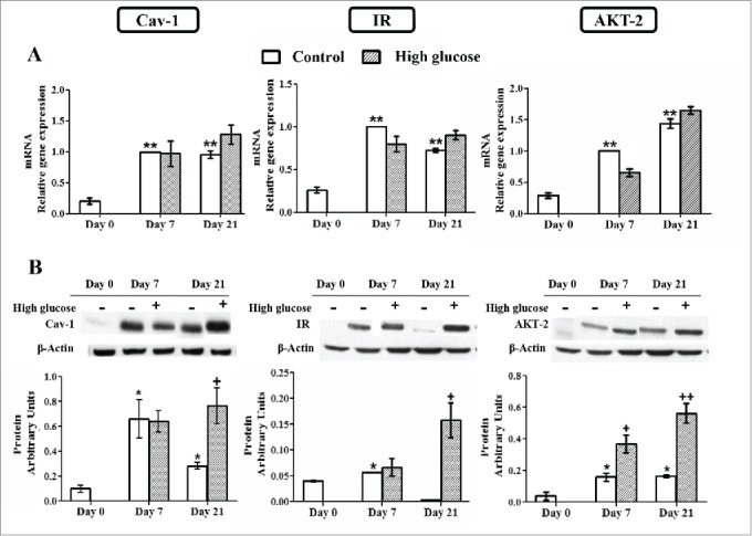 Figure 6.