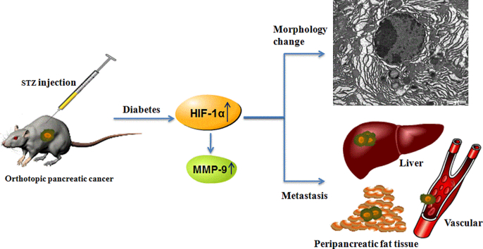 Unlabelled Image