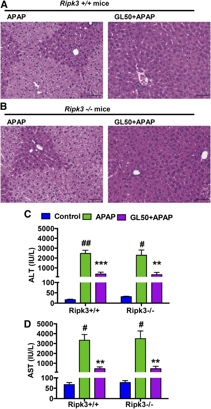 Fig. 8.