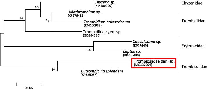 Fig. 6