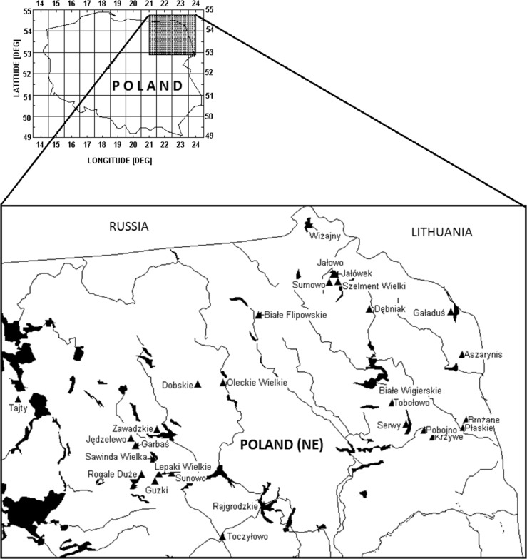 Fig. 1