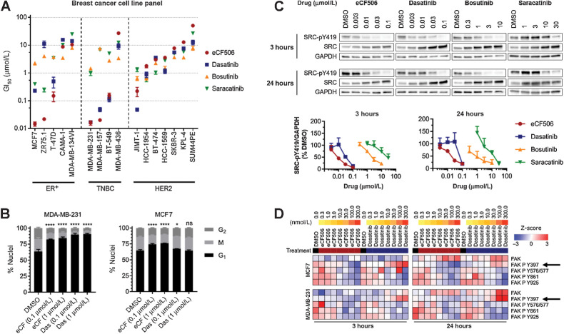 Figure 3. A, Antiproliferative activities of eCF506, dasatinib, bosutinib, and saracatinib across 16 breast cancer cell lines. Calculated GI50 values are ranked by sensitivity to eCF506. Error bars, ±SD (n = 3). B, Cell-cycle analysis after treating MDA-MB-231 and MCF7 cells with eCF506 or dasatinib for 48 hours. Error bars, ± SD (n = 3). Changes in G1 phase compared by one-way ANOVA (Dunnett correction for multiple comparison); *, P < 0.05; ****, P < 0.0001; ns, nonsignificant. C, Representative Western blots after treating MDA-MB-231 for 3 and 24 hours with eCF506, dasatinib, bosutinib, and saracatinib. Plots of normalized SRC-pY419 levels after each treatment are shown at the bottom. Error bars, ±SD (n = 3). D, Analysis of total and phosphorylated FAK from the RPPA study in MCF7 (top) and MDA-MB-231 (bottom) cells after 3 hours (left) and 24 hours (right) treatment with eCF506 and dasatinib at 0.3 to 300 nmol/L. Arrows, FAK-pY397.