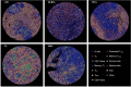 Extended Data Fig. 9