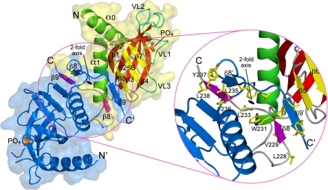 FIGURE 2.