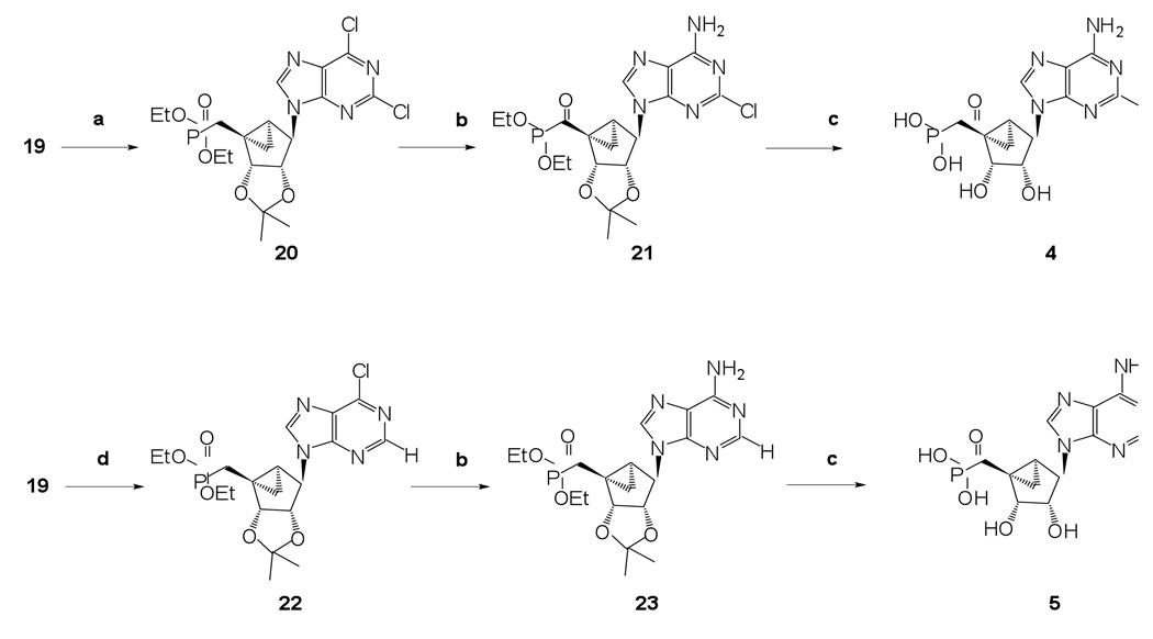 Scheme 2