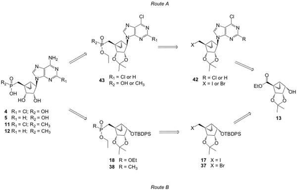 Scheme 7