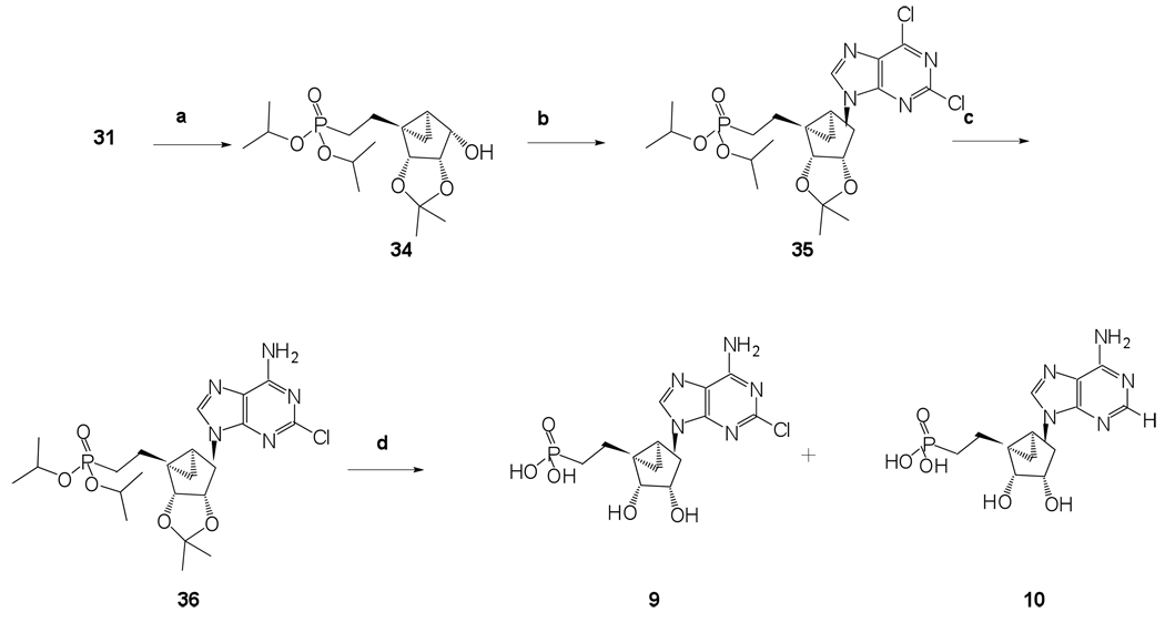 Scheme 5