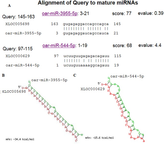 Fig 6