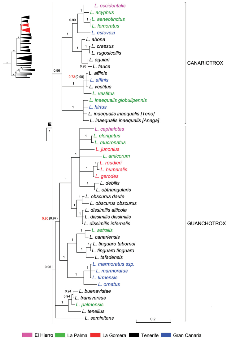 Figure 10.