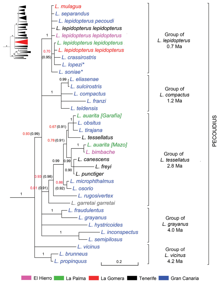 Figure 6.