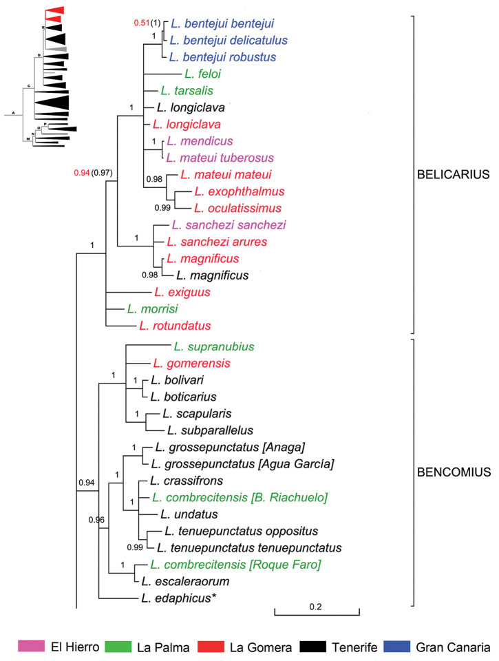 Figure 11.