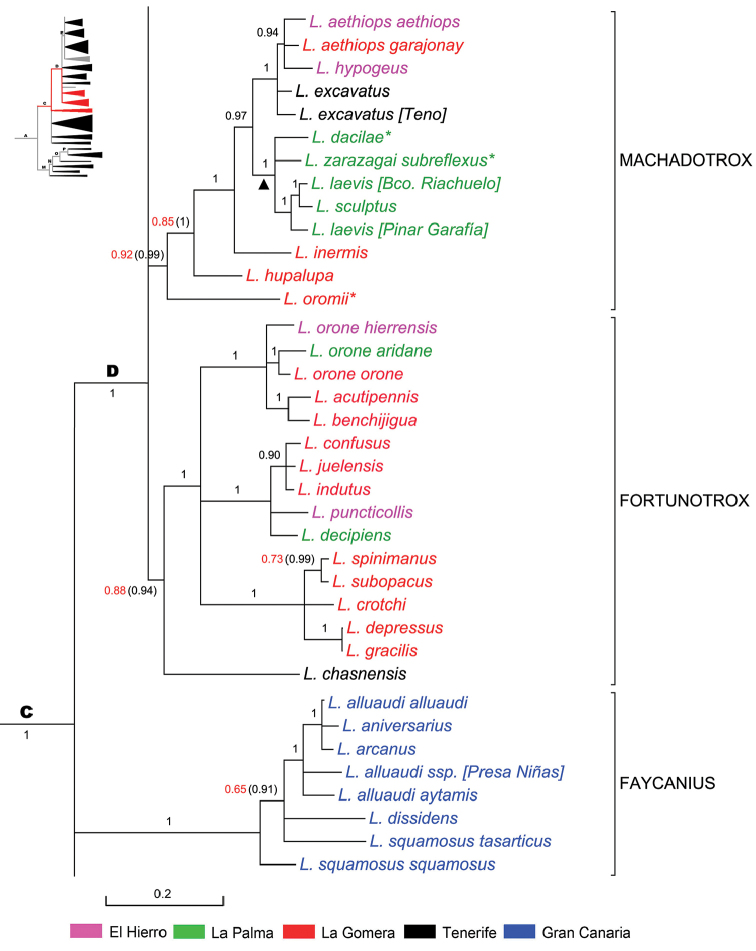 Figure 7.