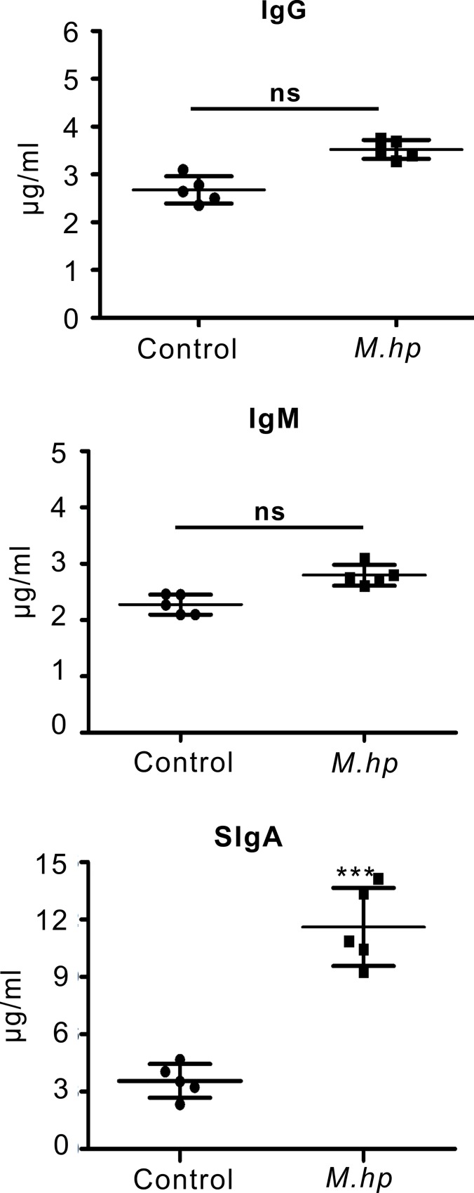 Fig 5