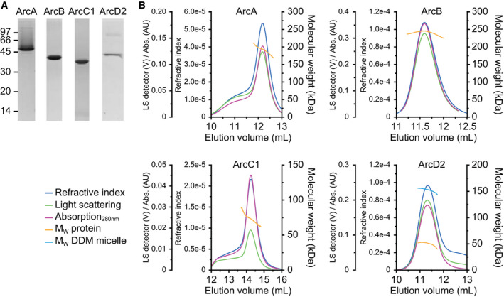 Fig. 2