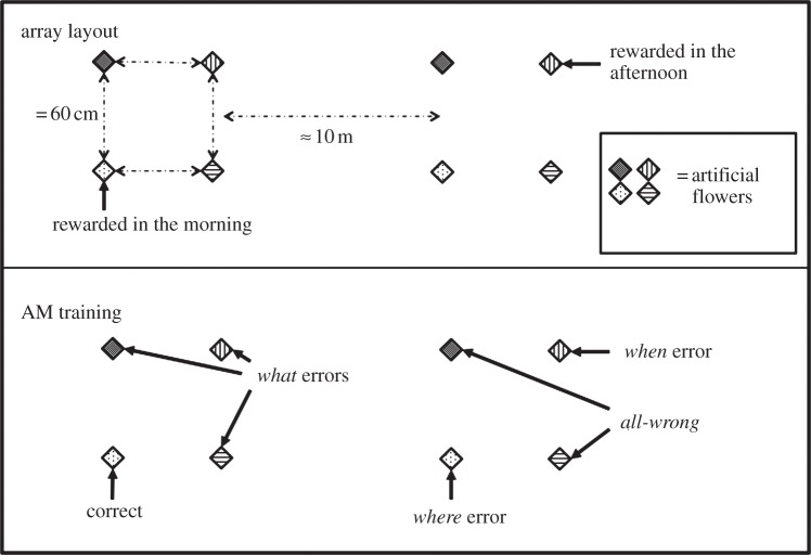 Figure 1.