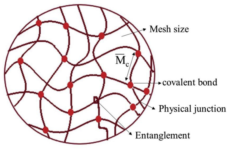 Figure 1