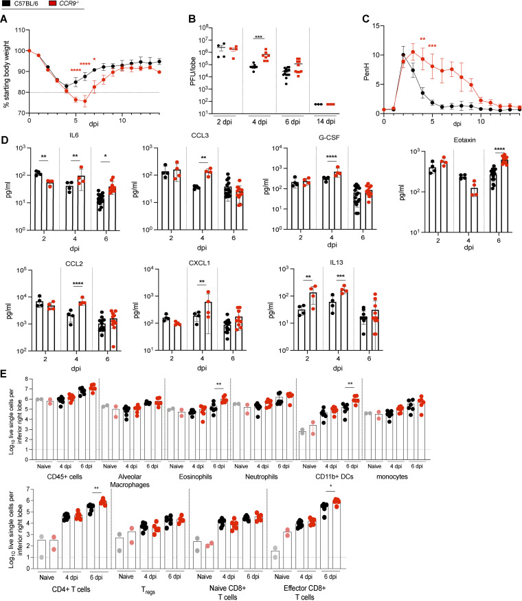 FIG 6