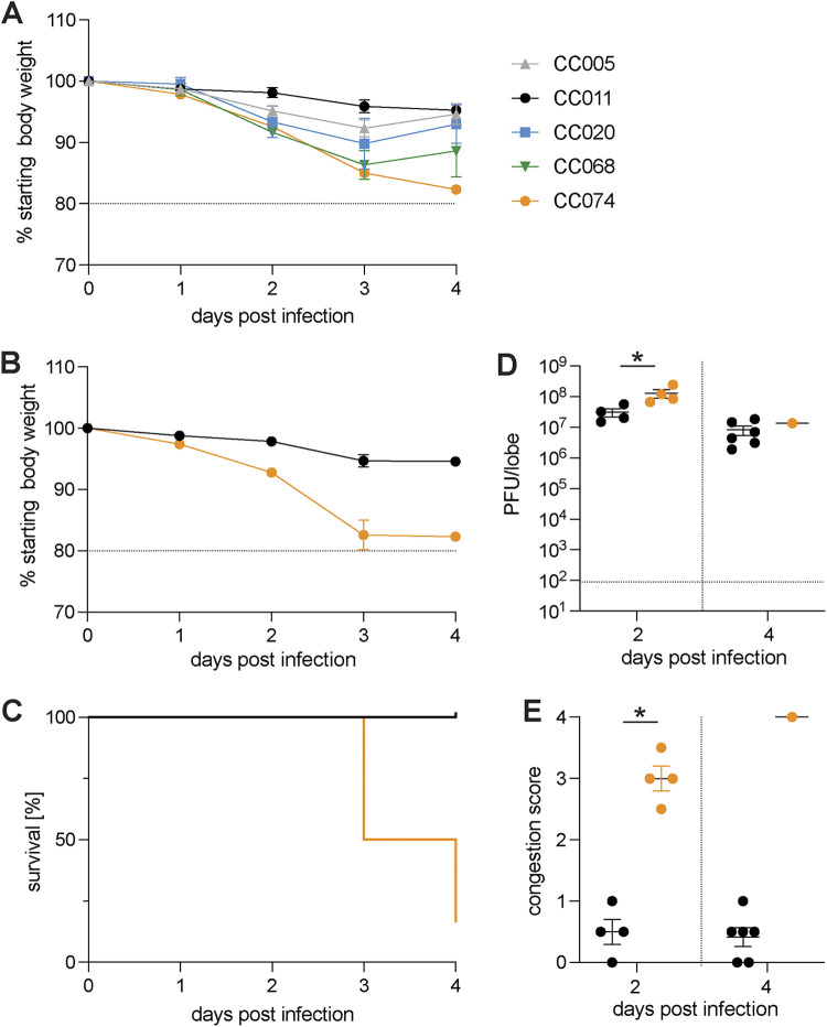 FIG 1