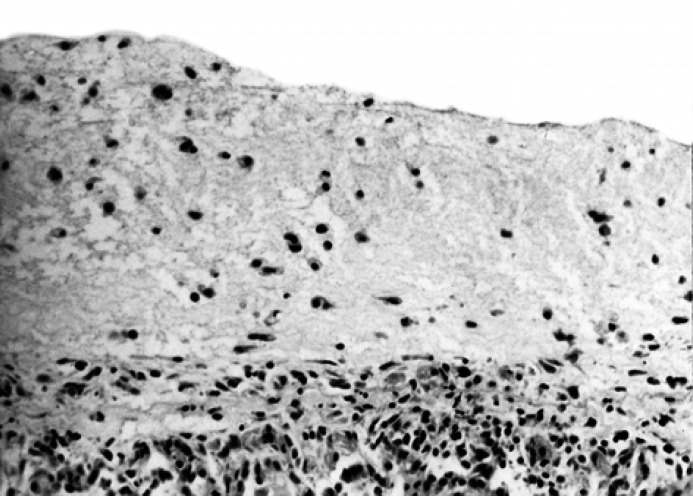 Laboratory Profiles in Cats with Different Pathological and ...