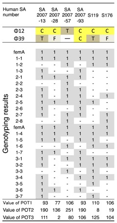 graphic file with name biology-07-00008-i003.jpg