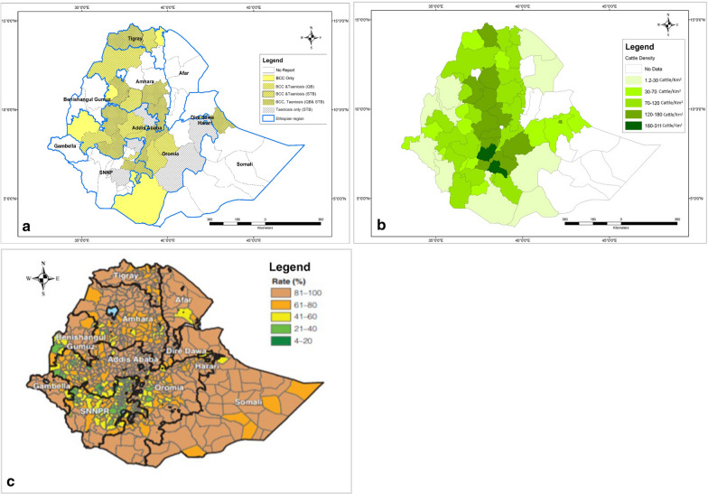 Fig. 2