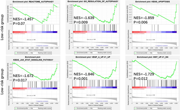 Figure 6