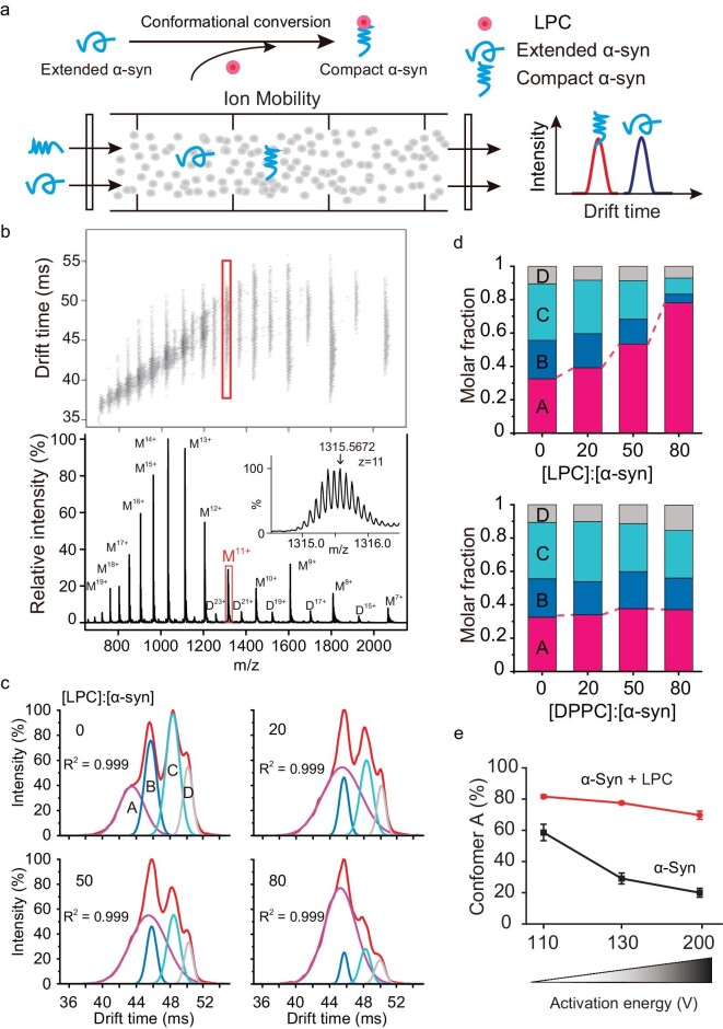 Graphs and data on IM-MS assay of α-syn in lipid environments with sub-figures labeled from a to e, showing the IM-MS schematics, IM-MS spectrum, IM-MS spectrum deconvolution, the comparison of α-syn conformers distribution with LPC vs. DPPC and activation-induced unfolding of α-syn with or without LPC.