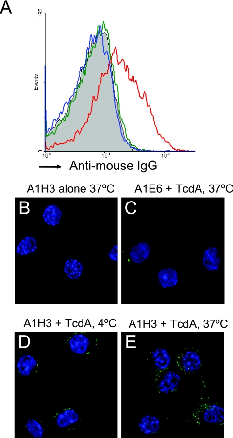 FIG. 6.