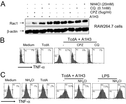 FIG. 8.